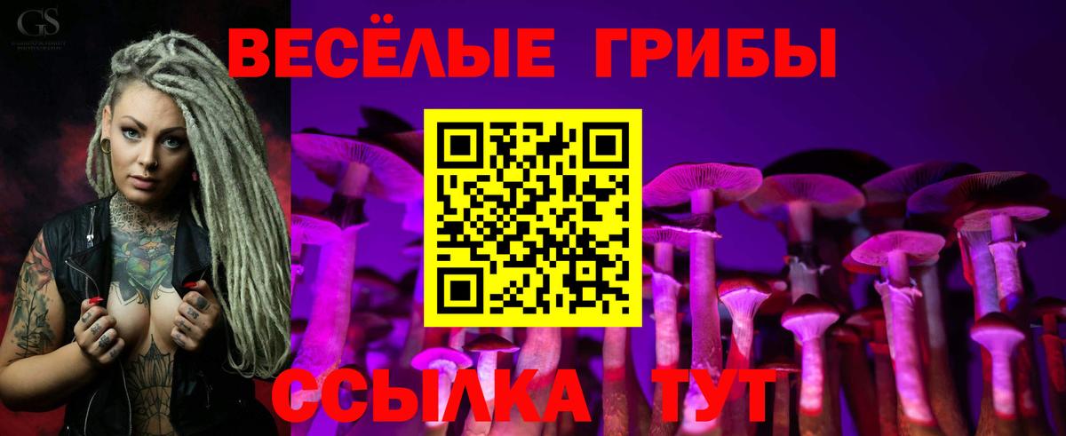 Галлюциногенные грибы мухоморы Асино