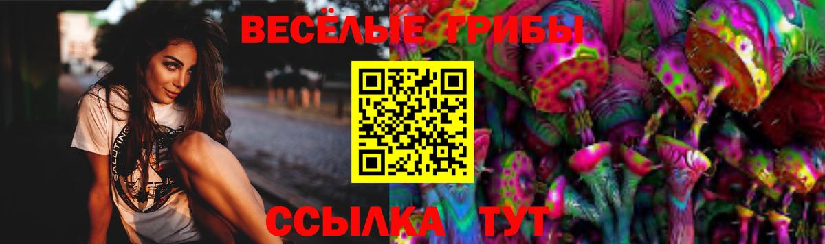 Галлюциногенные грибы мицелий  Псилоцибиновые грибы Cubensis  продажа наркотиков  Вход с VPN  Асино 